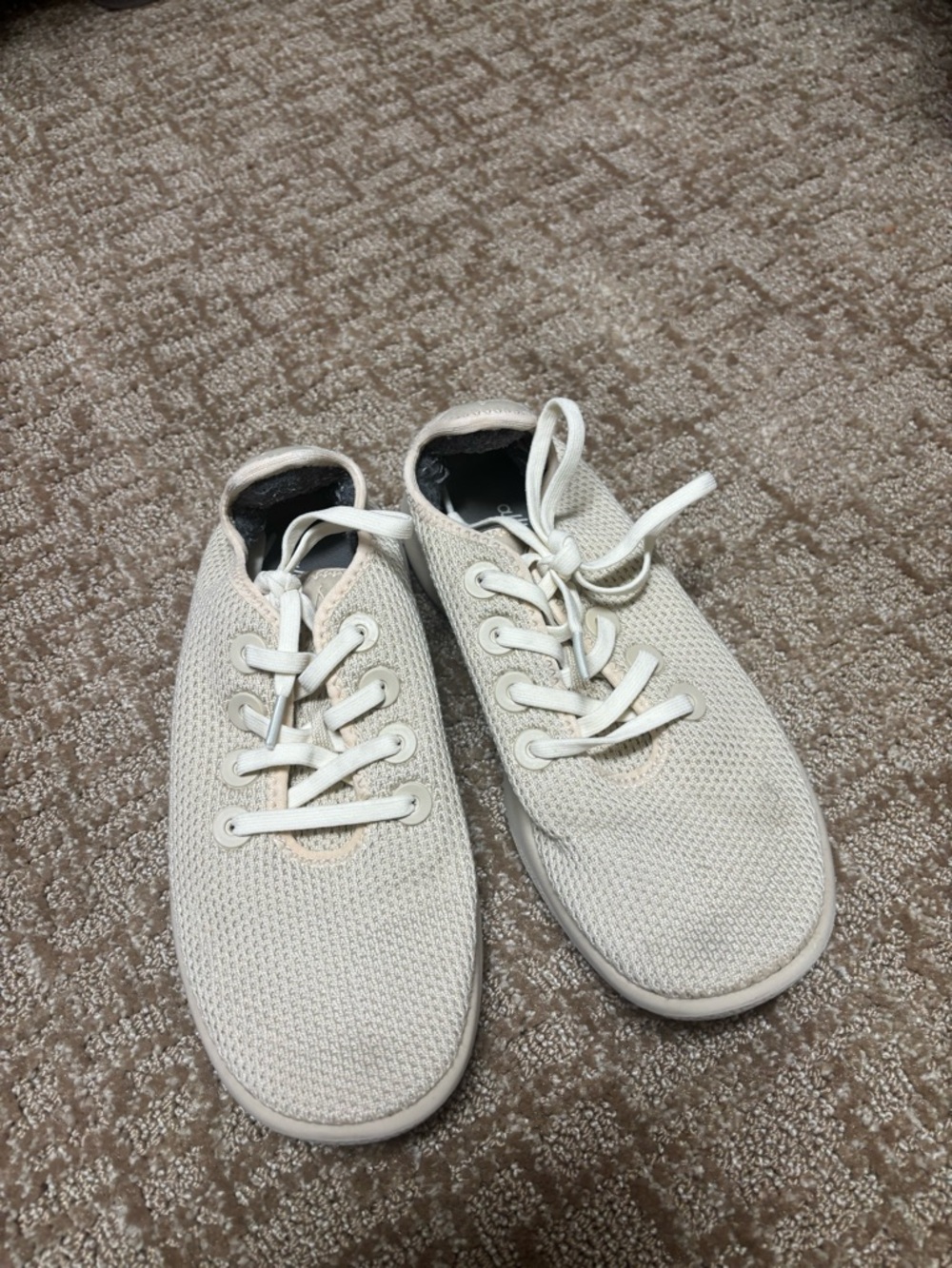 Allbirds Tree Runners